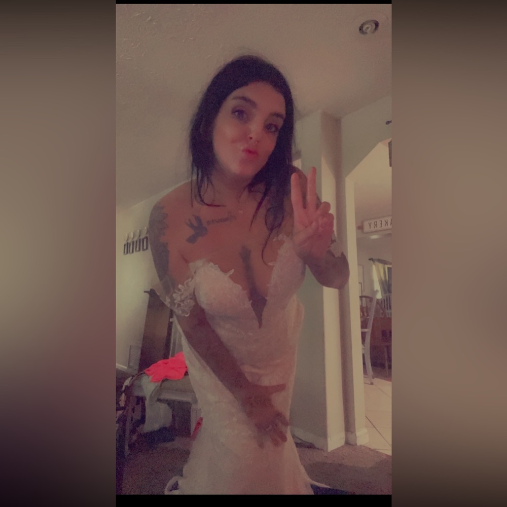 Brand new wedding dress with tags never altered in any way / only tried on .